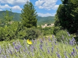 View of Soubes village from garden