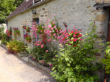 View of 3 bedroom cottage (currently used by owners)