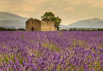 Provence-Alpes-Cote-d`Azur